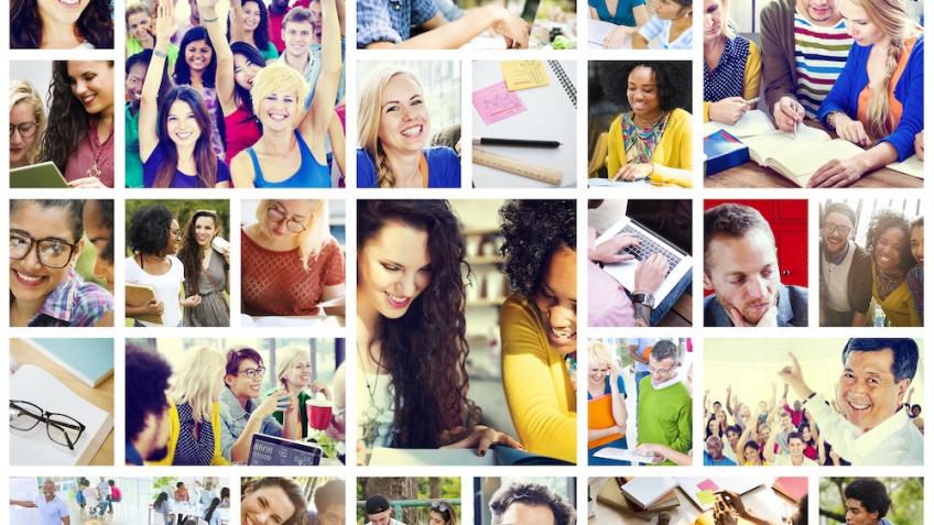 Start up & small biz support