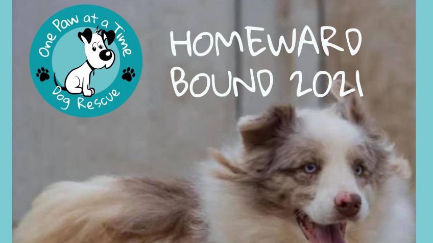 One Paw at a Time - Homeward Bound 2021