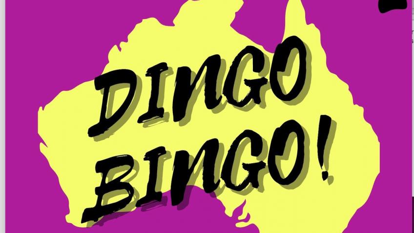 Bingo Bingo