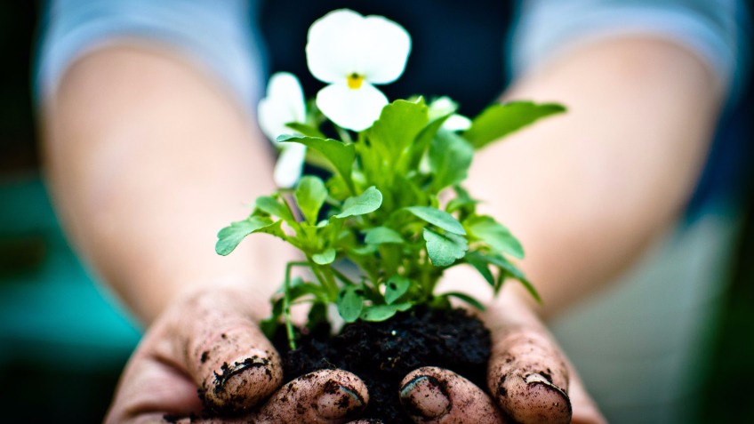 New therapeutic garden for women's refuge