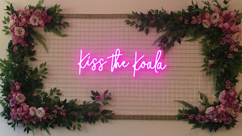 KISS THE KOALA
