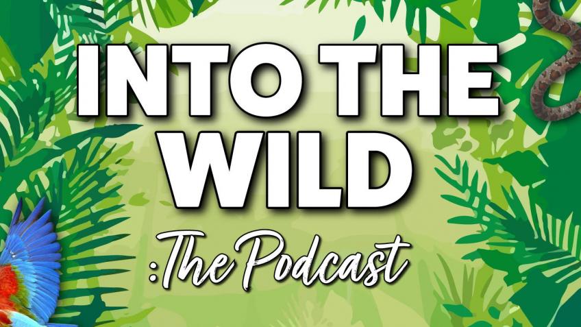 Into The Wild: Beyond The Trigger