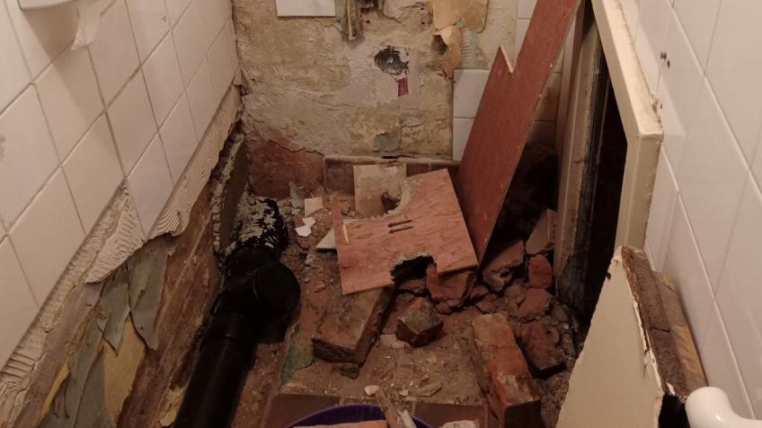 Emergency toilet repairs and update