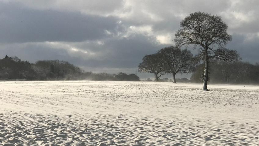 BEAUTIFUL AREA IN THE KENT DOWNS IS UNDER THREAT