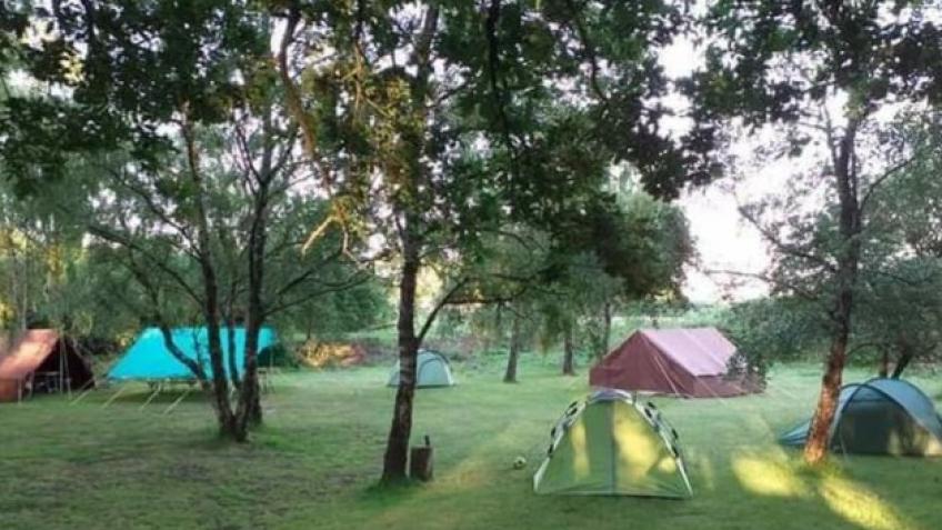 Improving scouting for young people