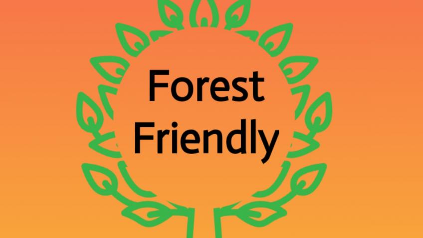 Forest Friendly Eco Shop - Introduce loose foods