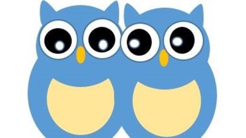 Leeds Night Owls Kick Starter