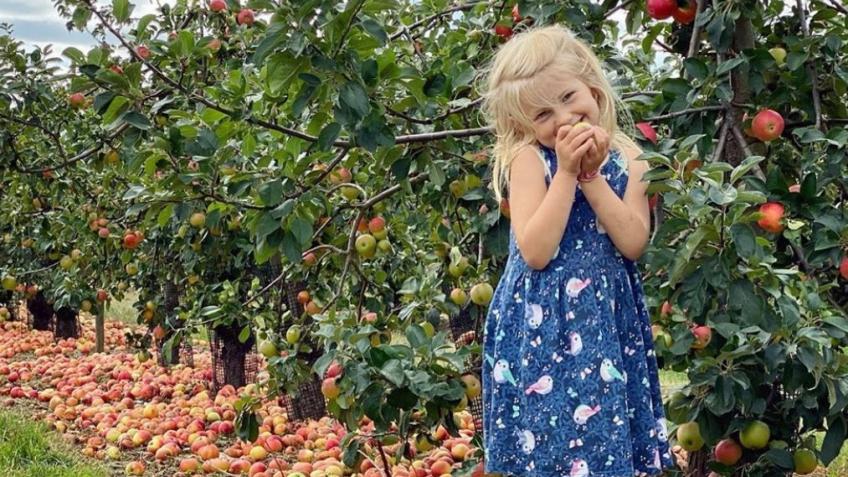 Heritage Fruit Orchards Project