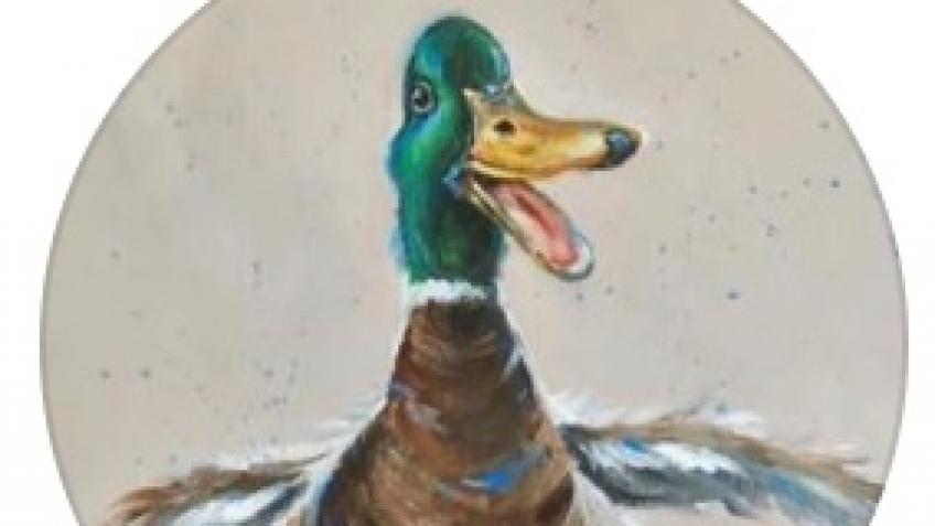 The Mad Duck Cafe community support fund