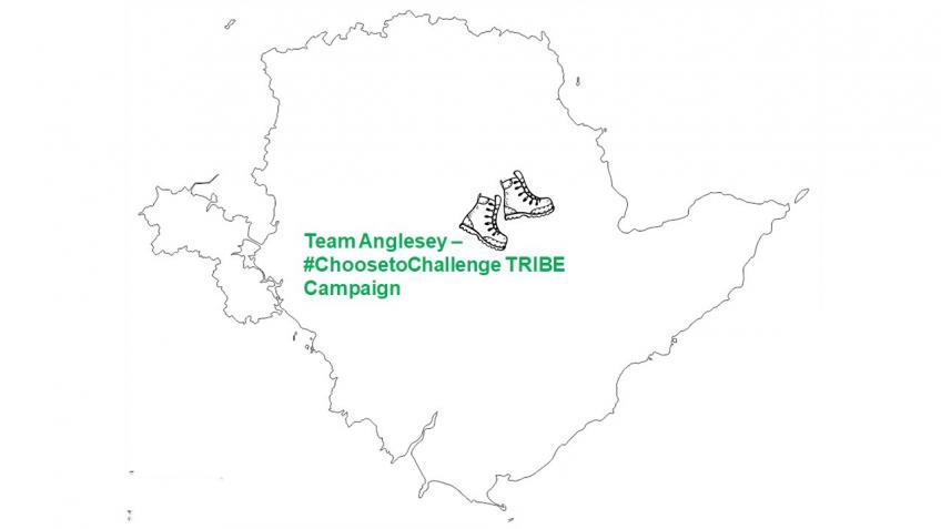Team Anglesey