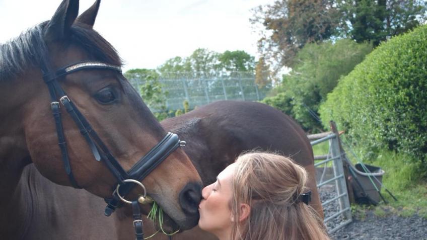 Help Reunite Me and My Horse Mango!