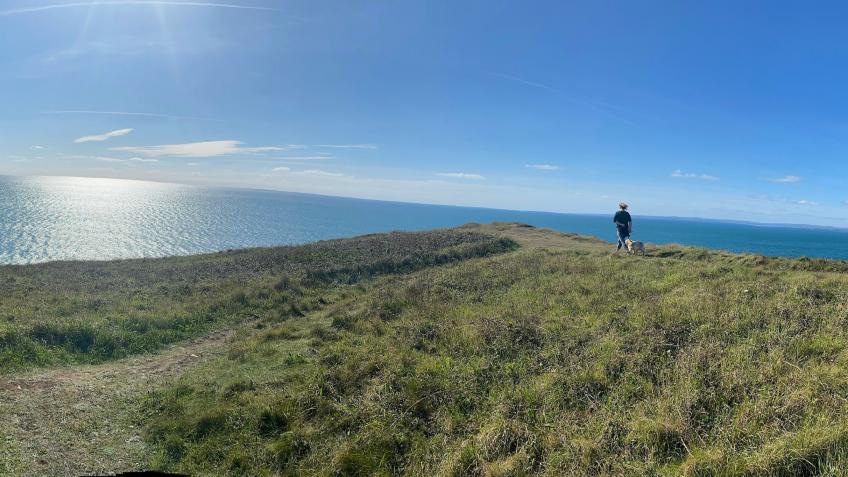 The Great Cornish Wiggle