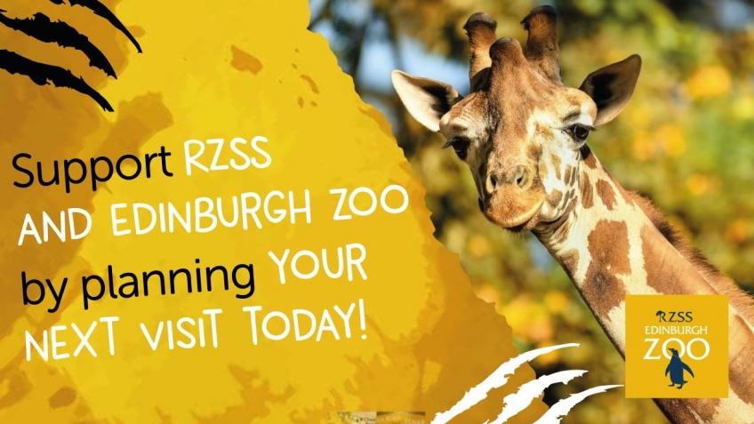 Support Edinburgh Zoo By Planning Your Next Visit A Charities Crowdfunding Project In Edinburgh By Rzss Highland Wildlife Park