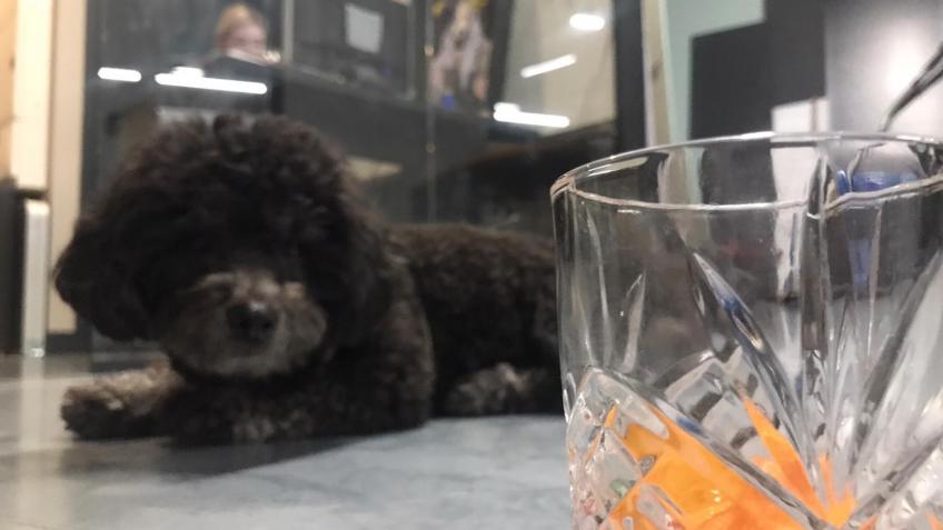 A Bar for Barkney Wick - "After Bark"