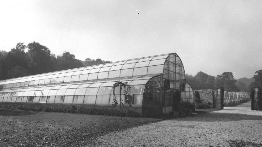 Palm House Restoration