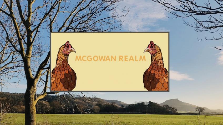 Grow our sustainable online shop - McGowan Realm