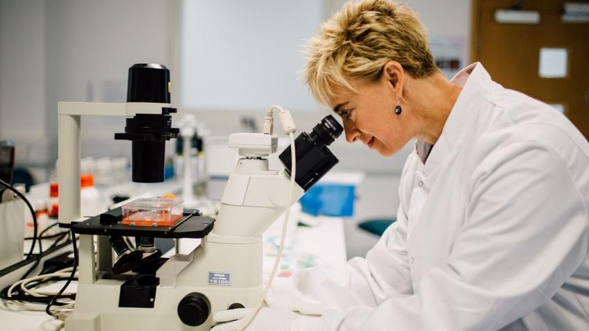 Animal-Free Replacement For Acute Toxicity Testing