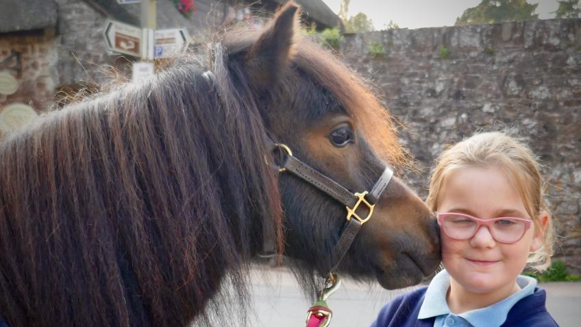 Community Pony C.I.C