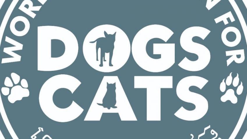 Paws protection