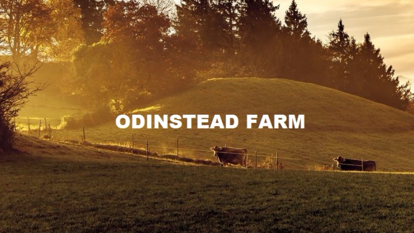 The Odinstead Farm