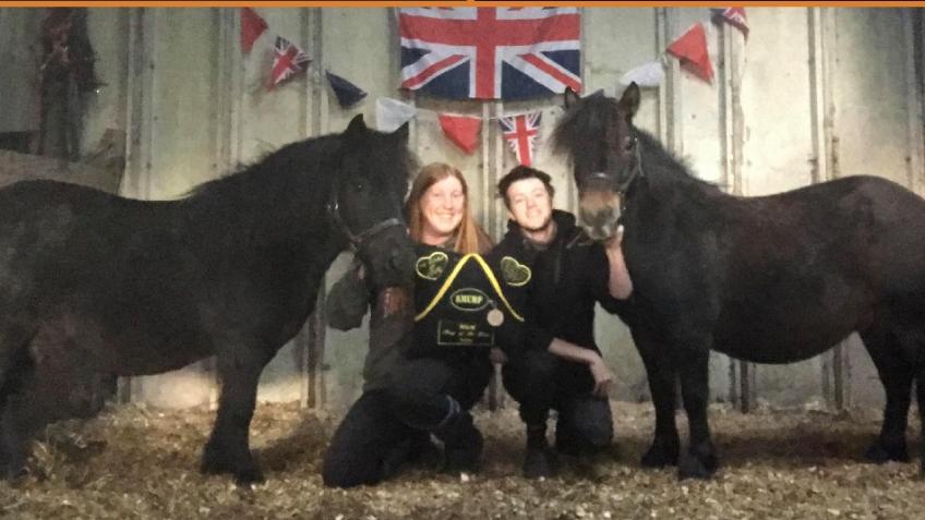 Smurf's Pony Project -Spreading Smiles & Happiness