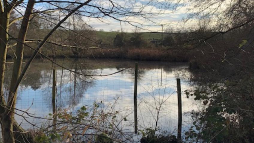 Lambley Reed Pond