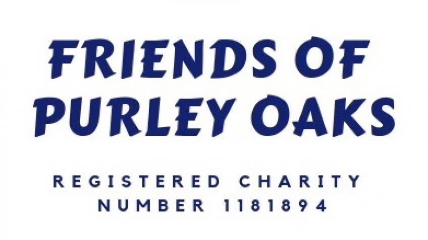 Friends Of Purley Oaks Primary School