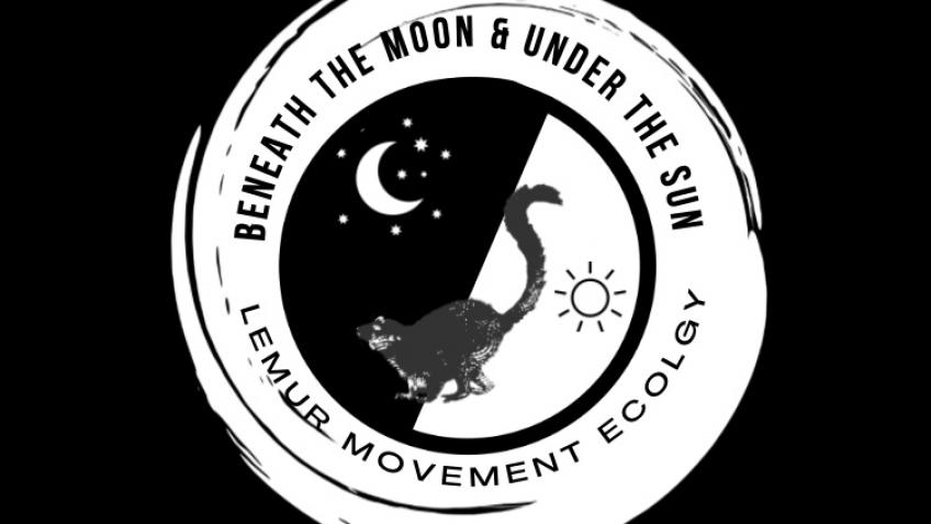 Beneath the moon Under the Sun: Lemurs on the edge