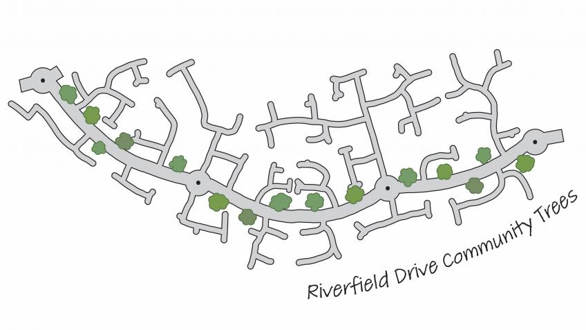 Riverfield Drive Community Trees