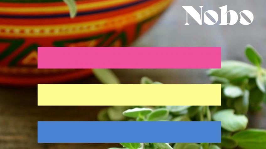 NOBO Deodorant