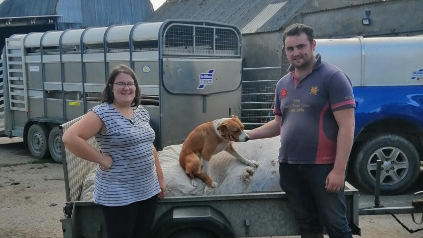 Pembrokeshire single farm yarn