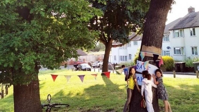 Save Lewisham's Mature Trees!