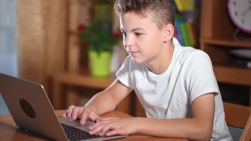 Accessing Online Support