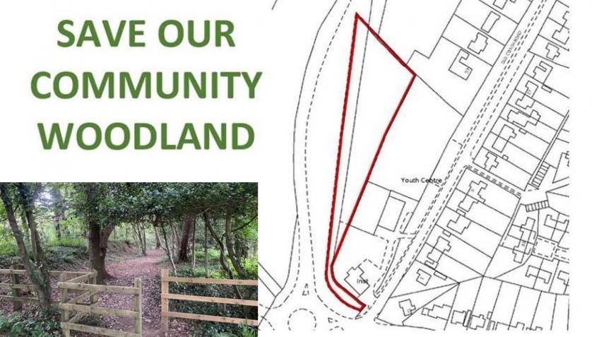 Help Save the Woodland at Playing Place Park