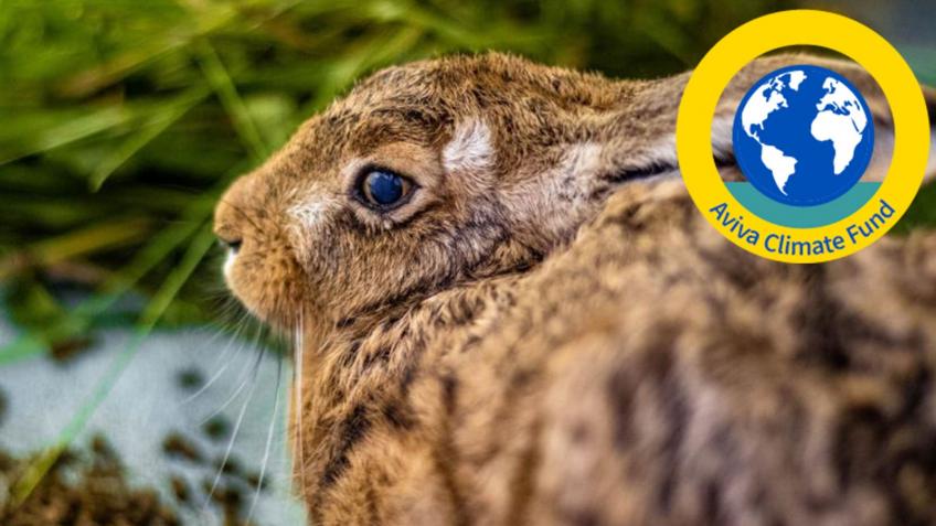 HELP OUR WILDLIFE