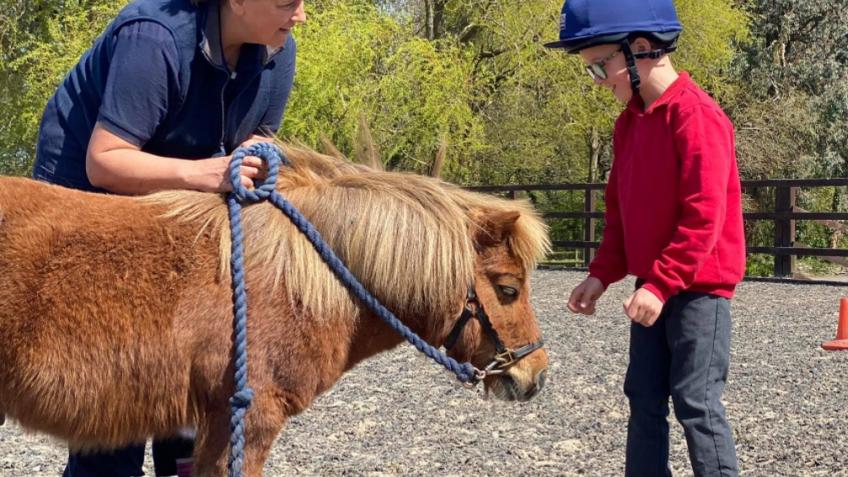 The Avon Centre - nature and equine based charity