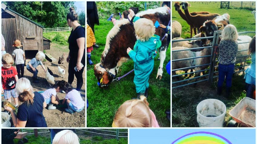"Little Lambs" Farm School & Educational Programme