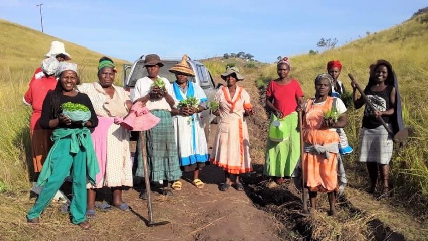 Ntshambili Community Gardens & Orchard Project
