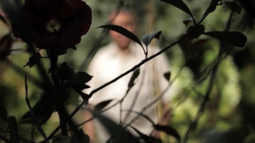 Help fund therapy for torture survivors in 2022