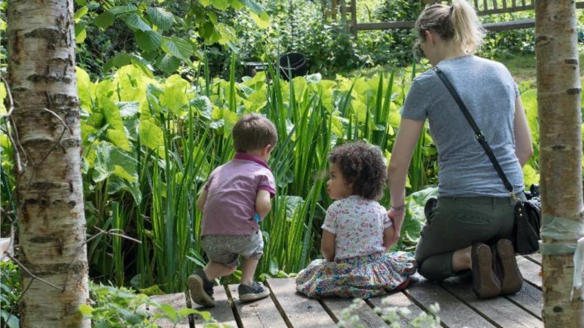 Save Mortimer Terrace Nature Reserve