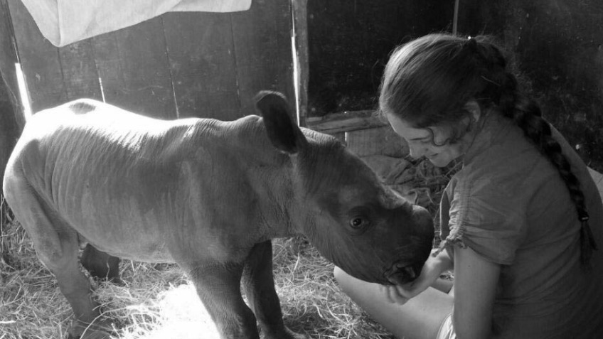 Aussie: Rhino Care in Africa