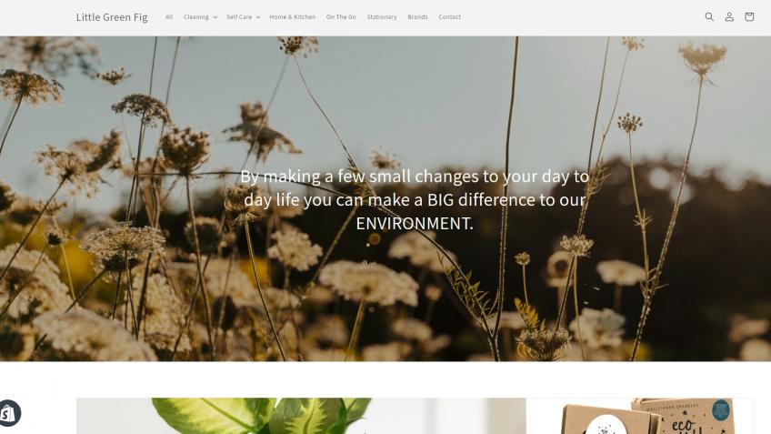 Start up Business - Little Green Fig