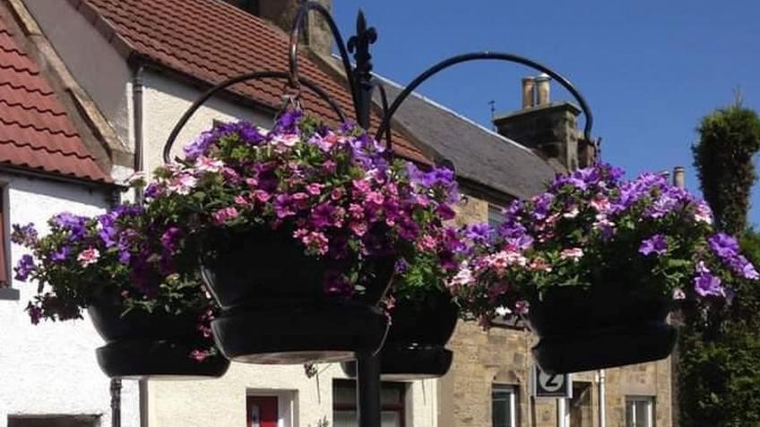 Freuchie in Flower - Save our summer plants