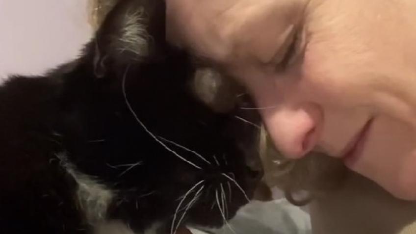 Help for Elsa the Wonder Cat