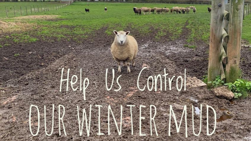 Help Our Sanctuary Control Mud