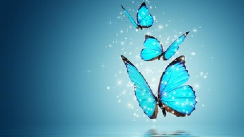Hypnotherapy for Humanity - Discounted Sessions