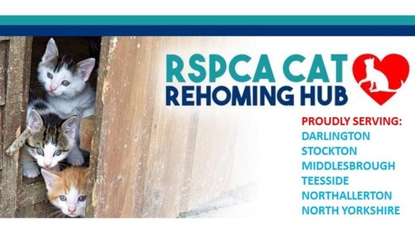 Royal Society For The Prevention Of Cruelty To Animals Darlington & District Branch