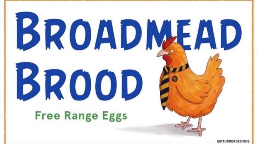 Broadmead animal welfare programme