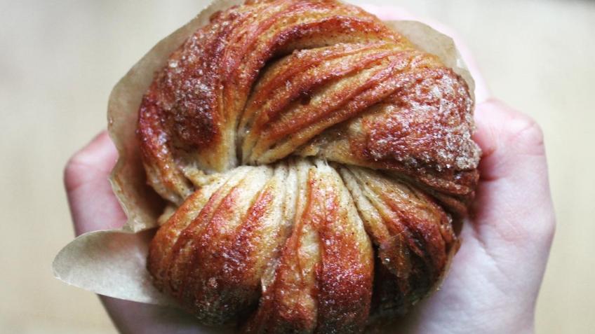 The Pastry Bench needs a Pastry Display & Proofer