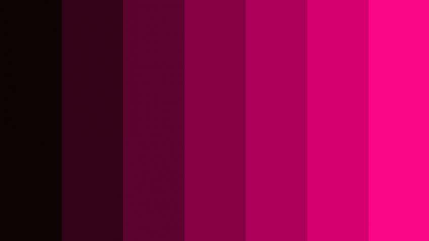 Fighting for sex-based rights of women in prison